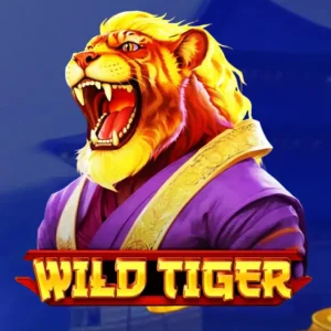 Wild Tiger Game